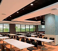 Geometric False Ceiling with Orange Beam Accents Architectural False Ceiling & Lighting Desk and Decor 