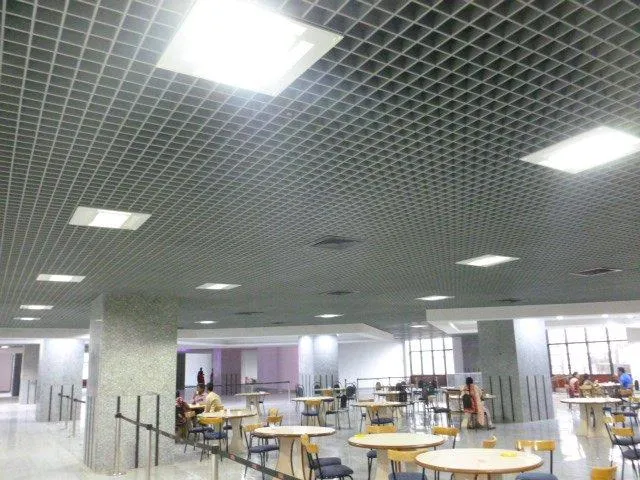 Wood-Finish Grid False Ceiling with Integrated Services – Corridor Architectural False Ceiling & Lighting Desk and Decor 