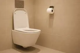 Wall Hung Toilets