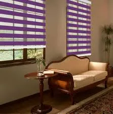 Dual Layer Zebra Blinds with Curtains & Drapes at Deskanddecor